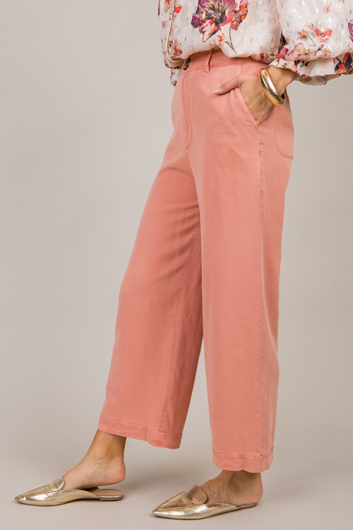 Tencel Wide Leg Pants, Clay - 1017-111.jpg